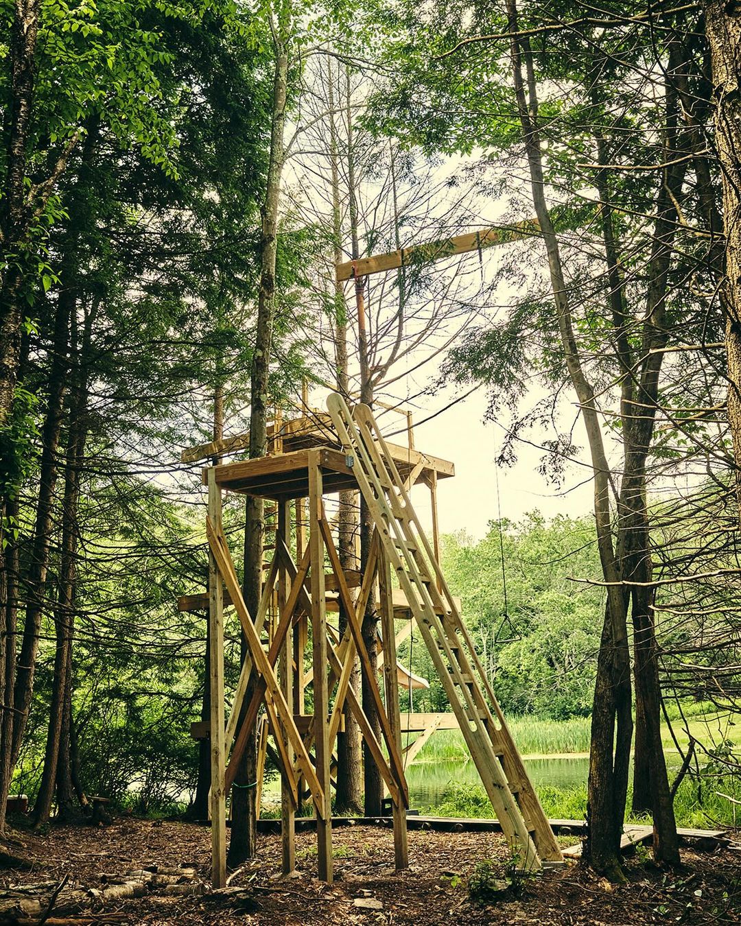 Wooden treehouse platform nestled among tall green trees in a forest setting with a pond in the background, natural outdoor scene.