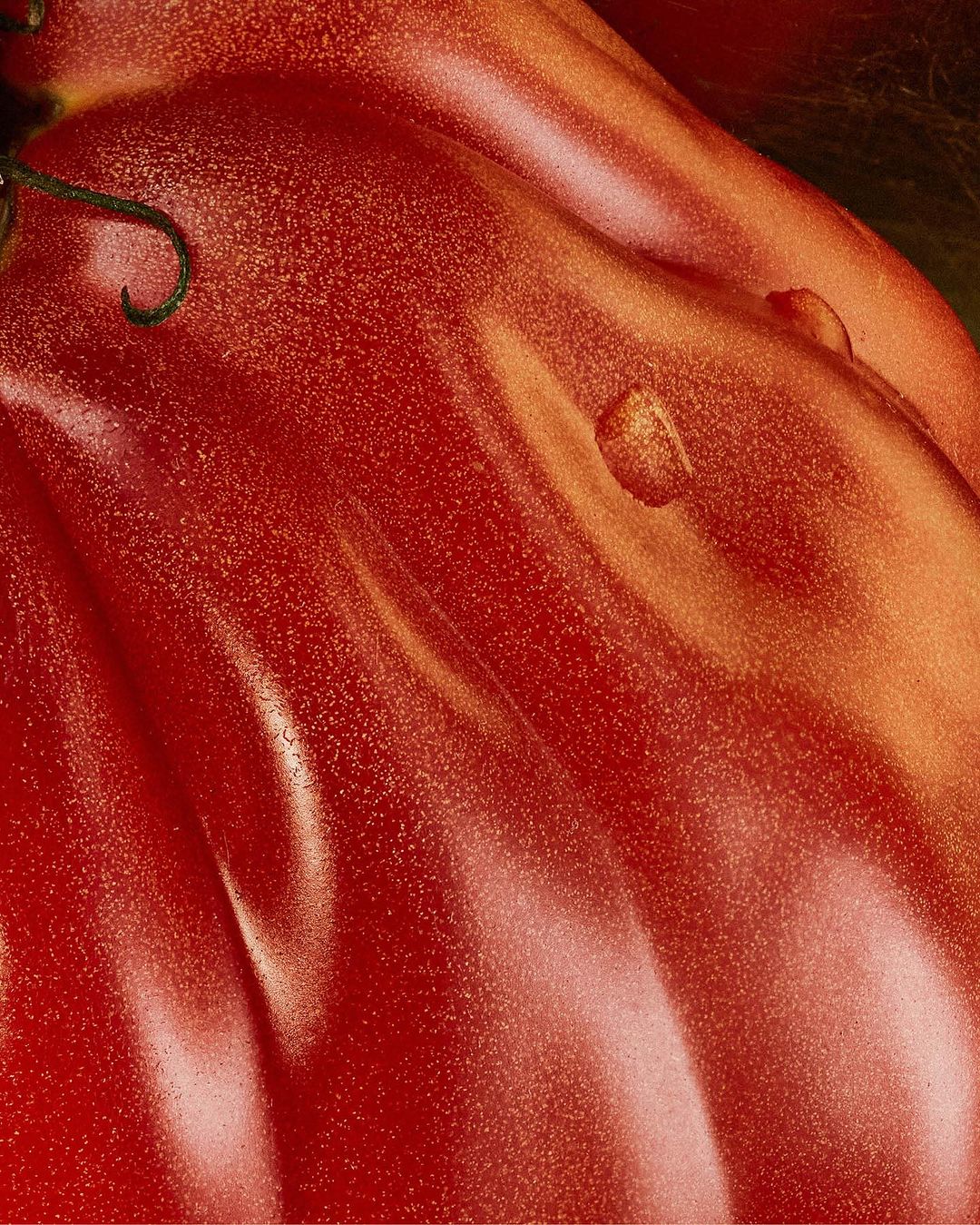Close-up of heirloom tomatoes featuring shiny skin, water droplets, and a vibrant red color, ideal for culinary or food photography.