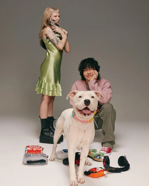 Two people pose with a white pitbull dog in a studio setting; a woman stands in a green dress with a man kneeling with the dog.