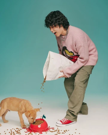 Young man in a pink sweater pours dog food into a bowl for a small brown puppy, teal background, red sneakers, casual style indoors.