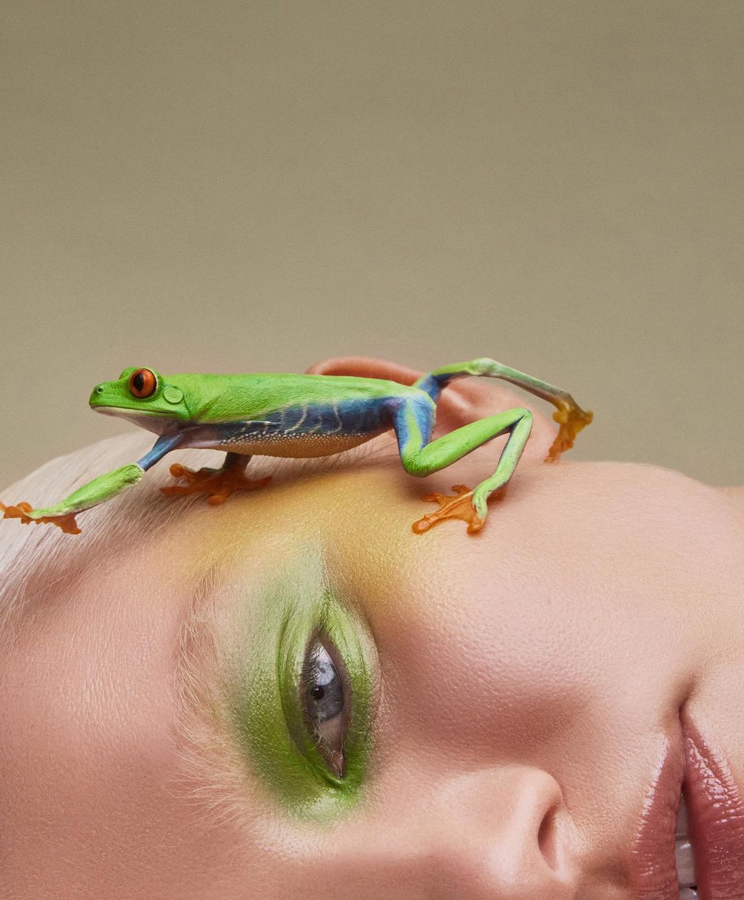 Eye-level medium shot of a red-eyed tree frog resting on a woman's forehead with green makeup; studio setting; neutral background.