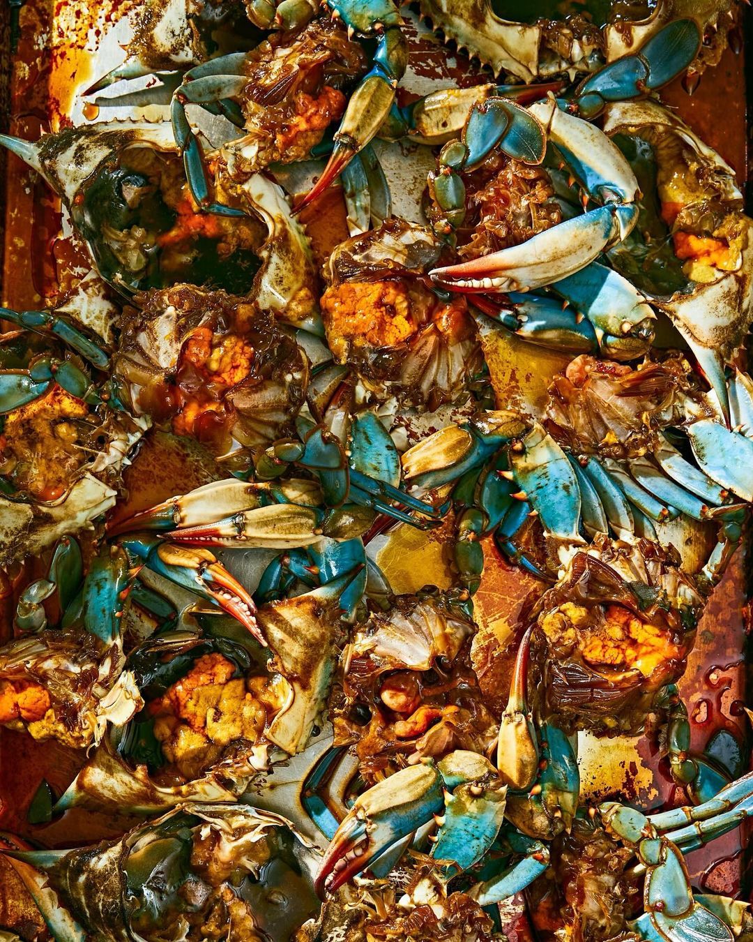 Overhead shot of a pile of cooked blue crabs, showcasing their vibrant blue shells and orange meat, creating a rich, textural food scene.
