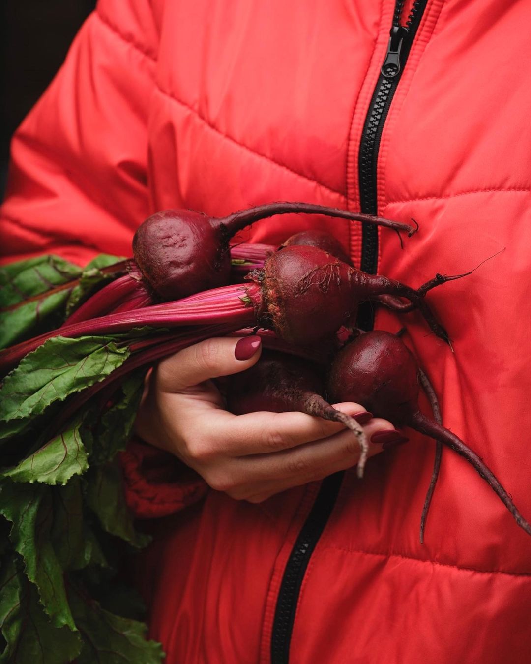 Woman in a red jacket holds fresh red beets with green leaves against a dark background, showcasing vibrant colors and textures.