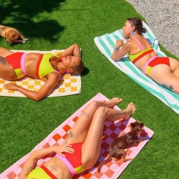Three women sunbathing on patterned beach towels spread across artificial grass with two small dogs nearby.