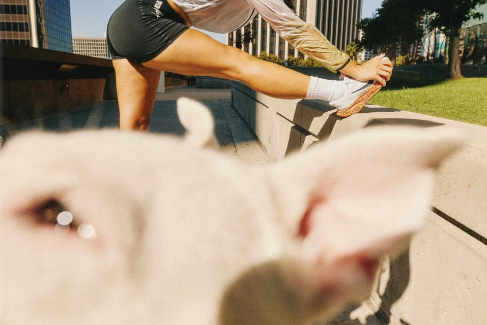 Athletic woman stretches her leg outdoors in city park with a close-up of white dog in foreground, bright daylight, and urban backdrop.