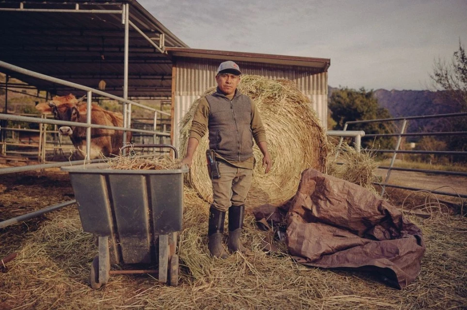 Man in work clothes stands near a hay bale and cart on a farm, with a cow and barn visible in the background in the rural setting.