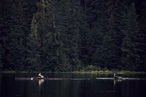 Two rowers in single scull boats row on a calm lake surrounded by a dense forest of evergreen trees in the background.