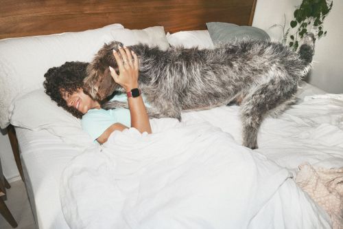 Woman lies in bed with a large, grey, furry dog on top of her in a home interior setting. She is smiling and petting the dog.