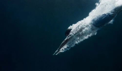 Underwater view of a person diving into dark water, creating bubbles and motion, capturing the dynamic moment and watery environment.