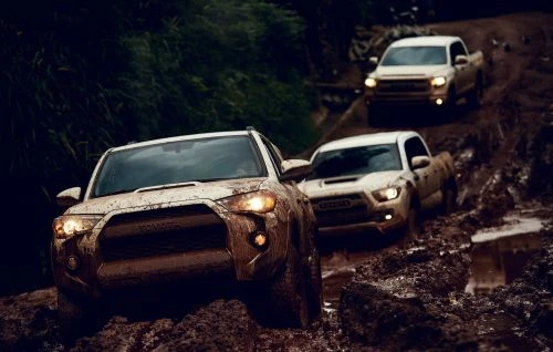 Three SUVs navigate a muddy off-road trail, showcasing rugged terrain and the vehicles' capability in a natural, outdoor setting.