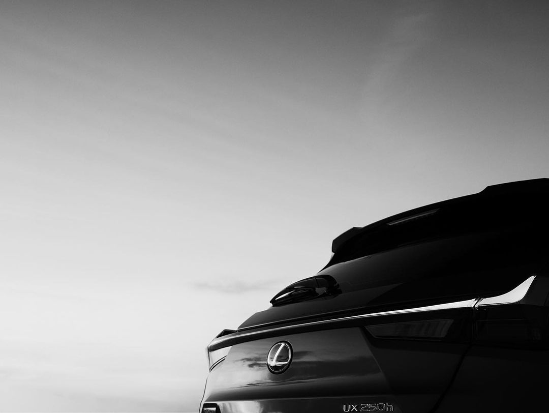 Rear view of a Lexus UX 250h against a bright, overcast sky. The car's rear lights, logo, and spoiler are visible.