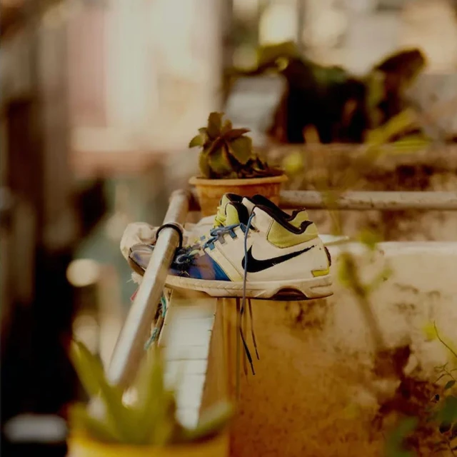 Elevated view of off-white athletic shoes with a black logo, casually perched on a concrete ledge with potted plants in the background.