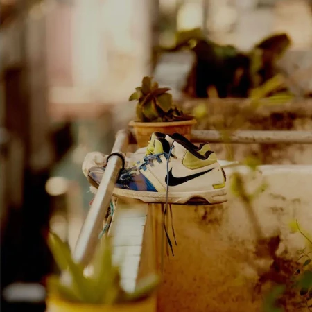 Elevated view of off-white athletic shoes with a black logo, casually perched on a concrete ledge with potted plants in the background.