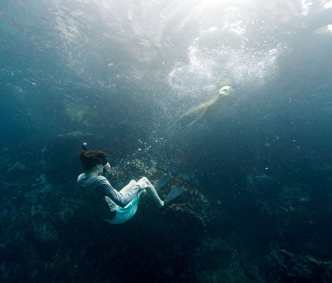 Underwater shot of a woman in a blue dress swimming with another person in deeper water near a dark, rocky ocean floor.