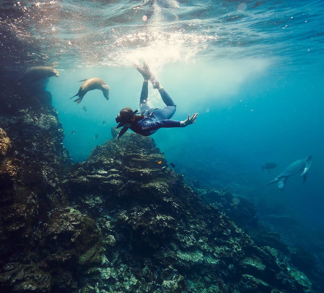 Underwater scene: adult woman snorkeling with sea lions and sea turtle in clear, turquoise water near a rocky reef formation.