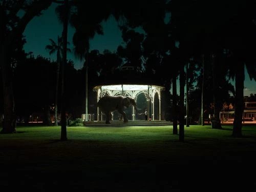 Elephant stands in a gazebo at night surrounded by trees and grass. The gazebo is illuminated and the elephant is the focal point.