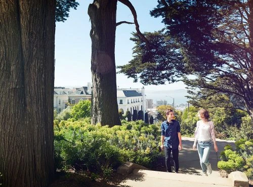 Young adult couple strolling down tree-lined path in urban park; sunny daytime scene with greenery, city buildings, and open sky.