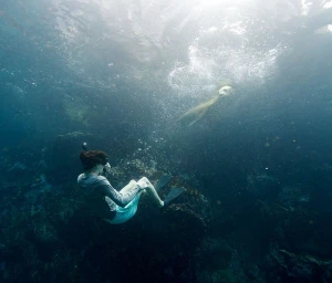 Underwater photo by Dana Neibert of a person swimming near a sea lion in blue ocean water