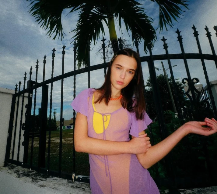 A person in a sheer dress standing in front of a wrought iron fence with a palm tree in the background on an overcast day.