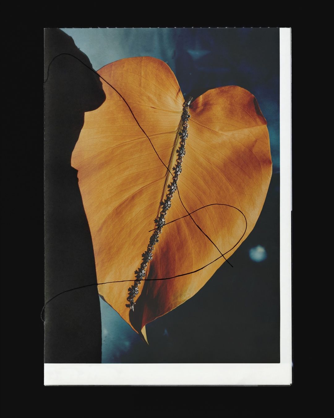 Artistic studio shot of a single golden leaf threaded with silver chain, set against a dark blue backdrop with subtle cloudy textures.