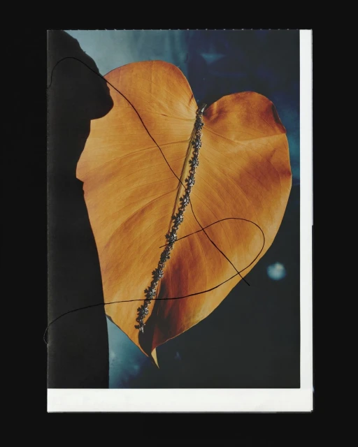 Artistic studio shot of a single golden leaf threaded with silver chain, set against a dark blue backdrop with subtle cloudy textures.