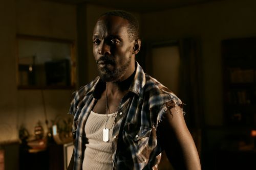 Portrait of an adult male with a goatee and dog tags, wearing a white tank top and a blue plaid shirt with torn sleeves, indoors.