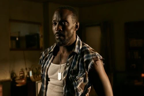 Portrait of an adult male with a goatee and dog tags, wearing a white tank top and a blue plaid shirt with torn sleeves, indoors.