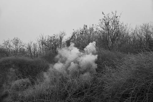 Monochrome landscape with thick plumes of smoke rising from dense brush and shrubs surrounded by bare trees under an overcast sky.