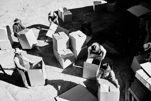 High-angle shot of people in hats organizing cardboard boxes in an outdoor setting, showcasing monochrome photography with strong shadows.