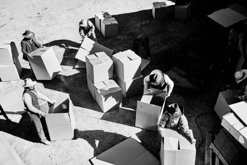 High-angle shot of people in hats organizing cardboard boxes in an outdoor setting, showcasing monochrome photography with strong shadows.