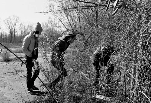 Three people are exploring dense, bare thorny bushes in a monochrome landscape with distant trees under a bright, overcast sky.