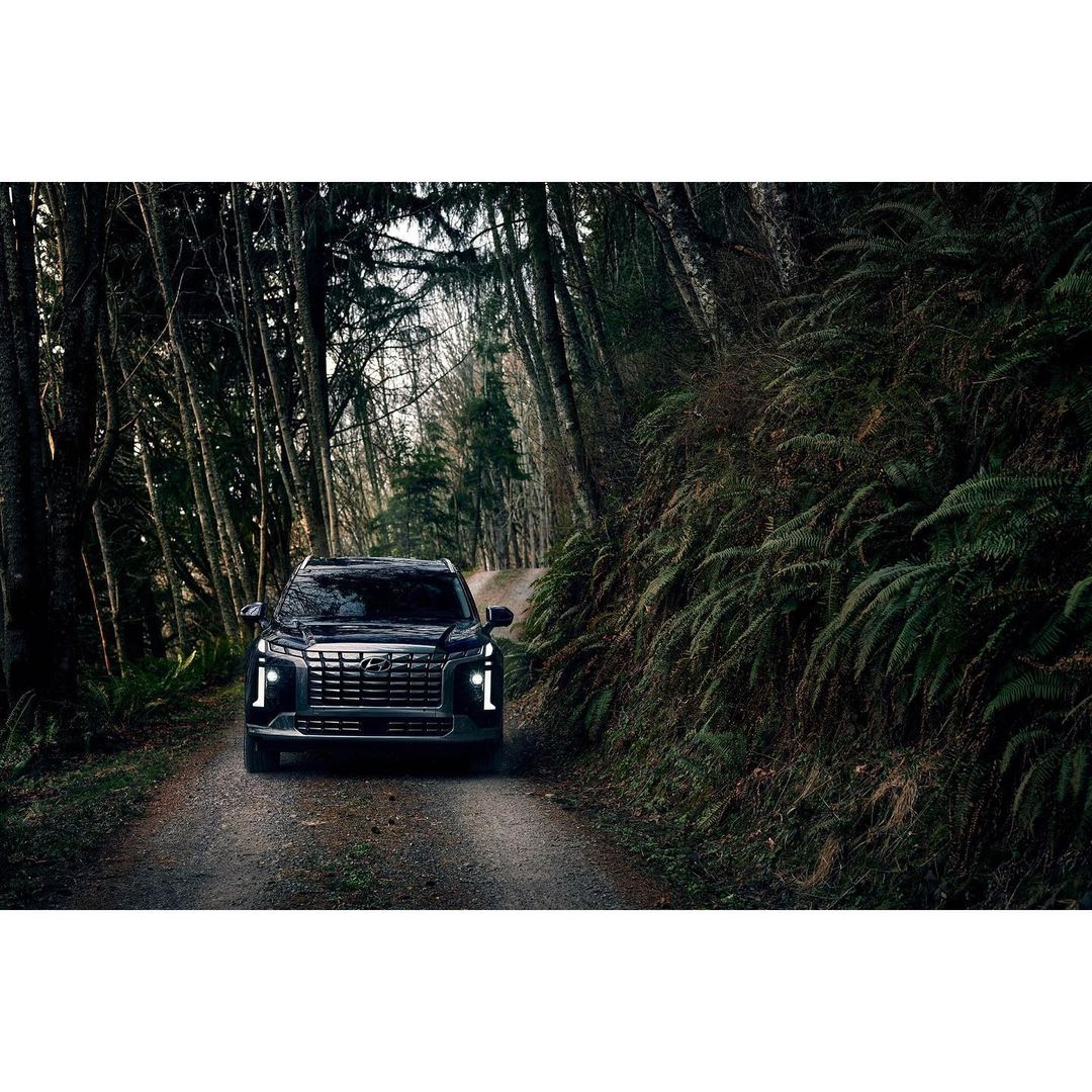 Black SUV driving on a dirt road through a dark forest with tall trees and ferns, illuminated by headlights.
