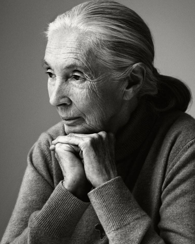 Black and white portrait of an elderly woman with grey hair, wearing a grey sweater and resting her chin on her clasped hands.