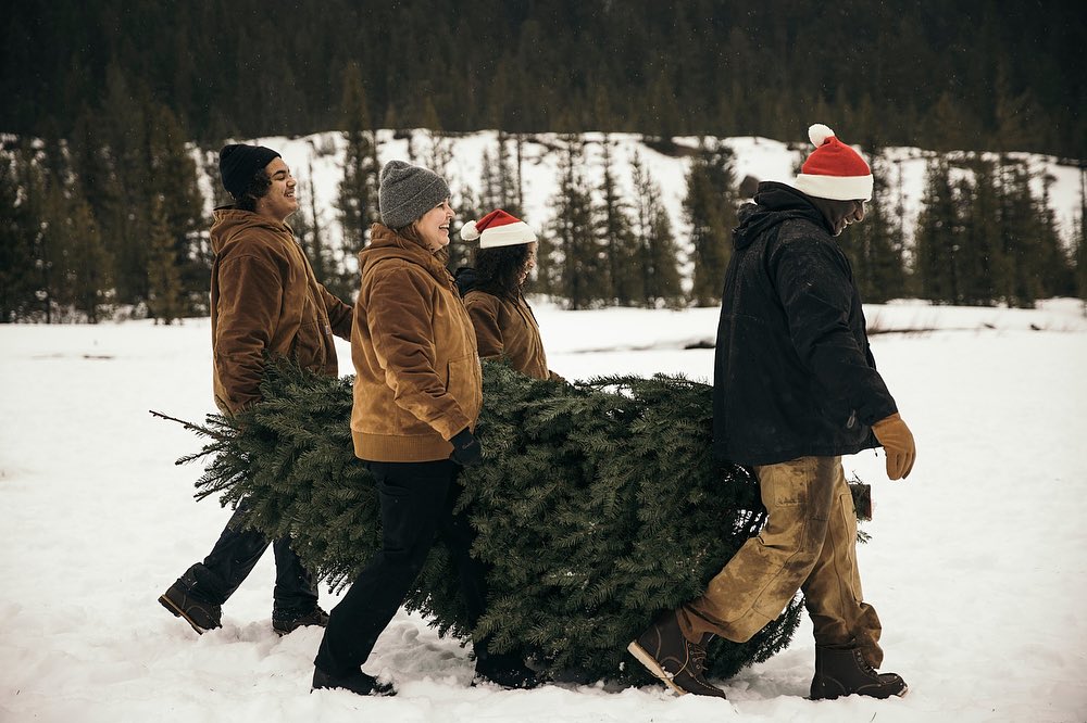 A group of four people carry a freshly cut Christmas tree through a snowy landscape with evergreen trees in the background.