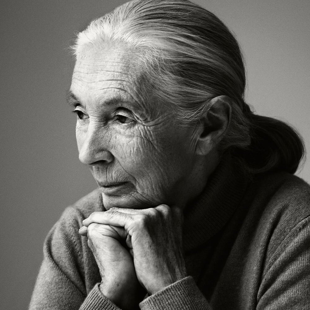 Black and white portrait of an elderly woman with her hands clasped together looking off to the side with a thoughtful expression.