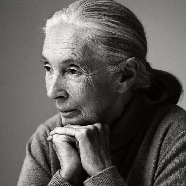 Black and white portrait of an elderly woman with her hands clasped together looking off to the side with a thoughtful expression.