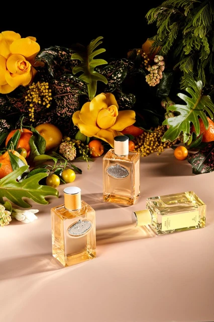 Three bottles of Prada Paradoxe Intense perfume arranged with citrus fruit, yellow flowers, and lush greenery against a dark backdrop.