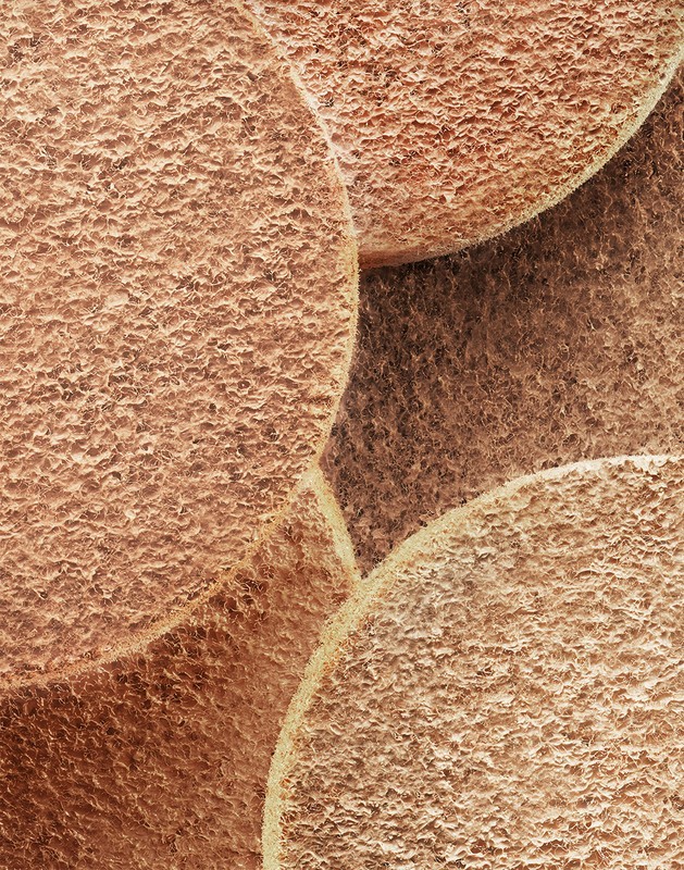 Close-up of several overlapping, textured, light brown circles. The image has a macro photography aesthetic.