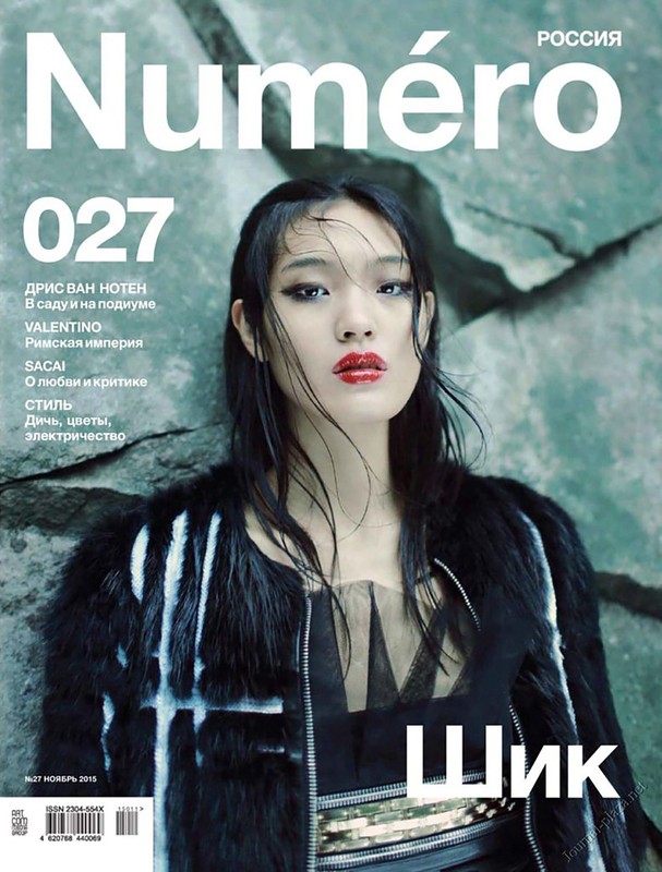 Magazine cover featuring an Asian female model with red lipstick and a black fur coat, posed against a textured grey background with title text.
