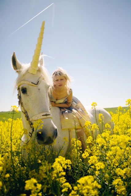 A fair-skinned child sits atop a white horse adorned with a unicorn horn in a vibrant field of yellow flowers under a clear blue sky.