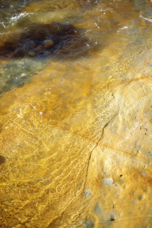 Textured stone is partially submerged in clear, shallow water. The sunlight creates a rippling effect on the water and stone surface.