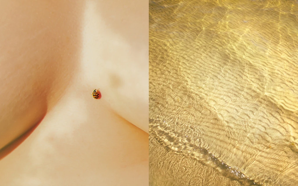 Close-up shot of a woman's collarbone with a ladybug resting on it, contrasted with a rippled water surface, creating a split image.