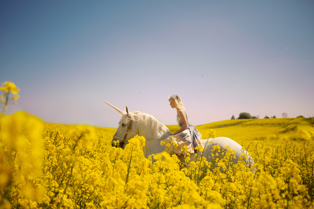 Woman in flowing dress rides white horse with unicorn horn through field of yellow rapeseed flowers under a clear blue sky.