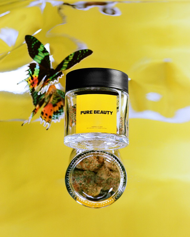 A jar of product with a black lid is reflected on a yellow surface next to a butterfly in a studio shot.