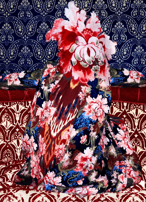 Abstract portrait featuring a model in a red and blue floral dress and a large red flower covering the head, set against paisley pattern backdrops.