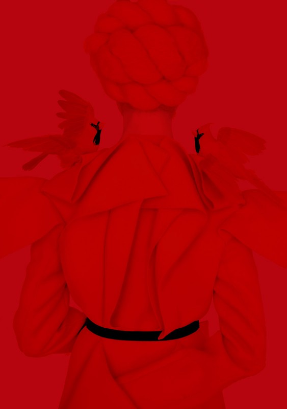 Back view of a person in a bright red dress with sculptural headwear, flanked by faint bird shapes on a matching red background.