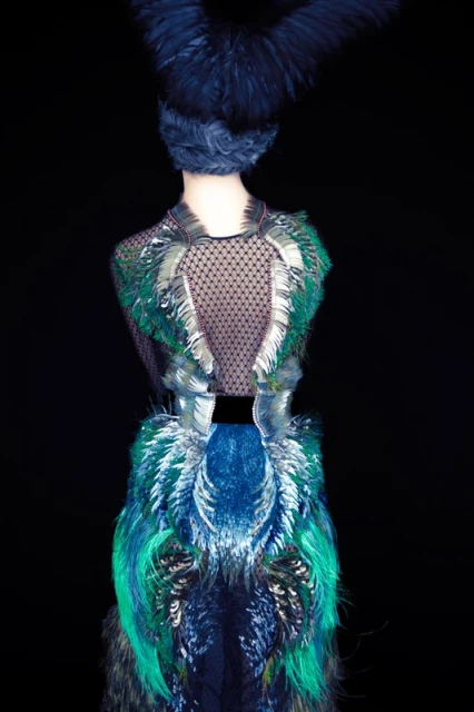 Back view of a mannequin wearing a dress with an elaborate feather and tulle construction against a dark background in a studio shot.