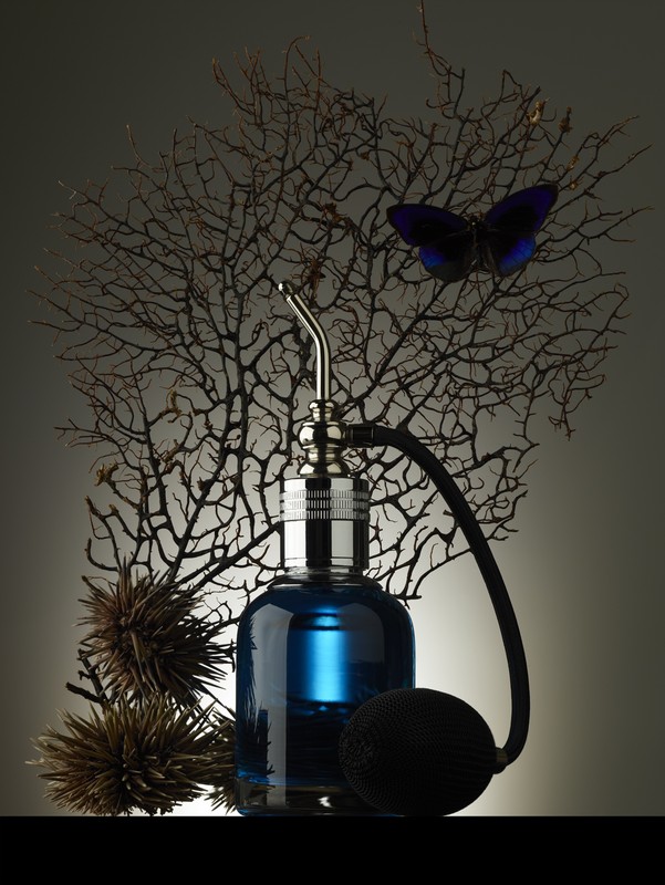 Elegant studio shot of blue glass perfume bottle with silver sprayer and black atomizer bulb, decorated with dried spiky flora and butterfly.