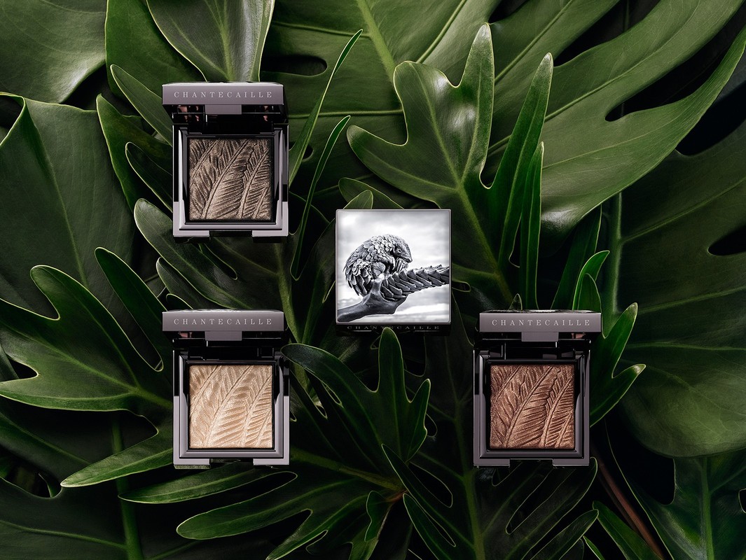 Eye shadow palettes from Chantecaille are surrounded by tropical philodendron leaves in a beauty and fashion product shot.