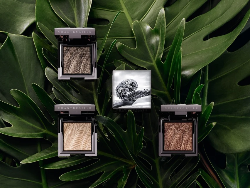 Eye shadow palettes from Chantecaille are surrounded by tropical philodendron leaves in a beauty and fashion product shot.